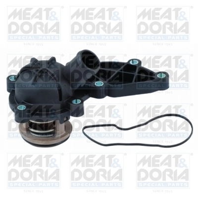 Thermostat, coolant
